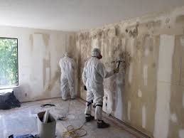 Best Black Mold Removal  in Houston, TX